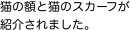 猫の額と猫のスカーフが紹介されました。