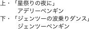 上・「星祭りの夜に」